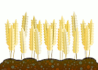 ingilizce çiftlik hayatı farm-life resim
