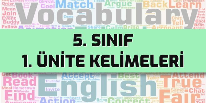 ingilizce 5. sınıf 1. ünite kelimeleri test