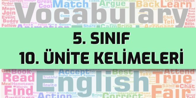 ingilizce 5. sınıf 10. ünite kelimeleri test