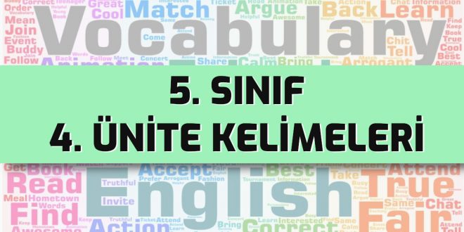 ingilizce 5. sınıf 4. ünite kelimeleri test
