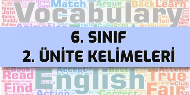 ingilizce 6 sınıf 2. ünite kelimeleri