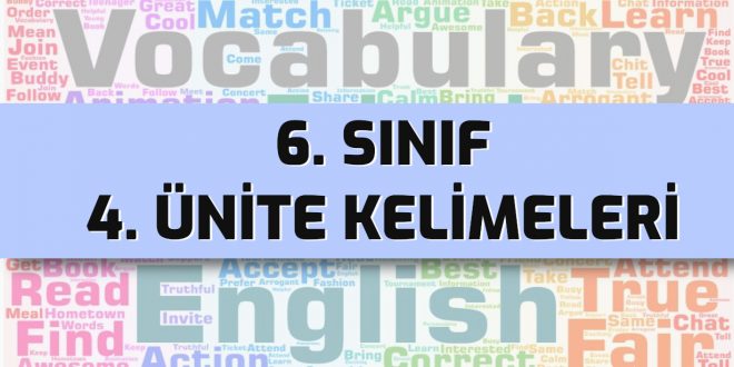 ingilizce 6 sınıf 4. ünite kelimeleri