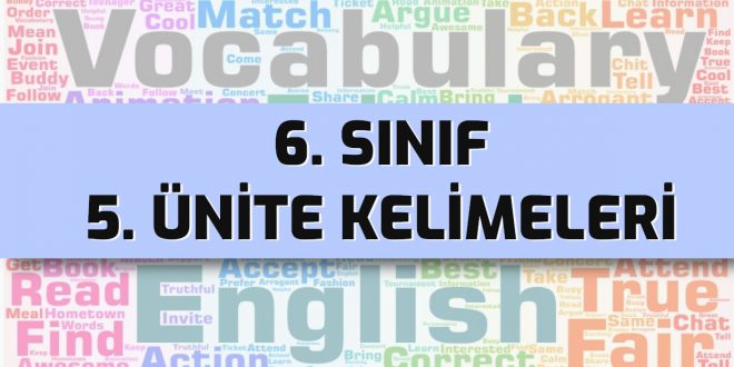 ingilizce 6 sınıf 5. ünite kelimeleri
