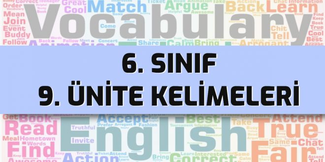 ingilizce 6 sınıf 9. ünite kelimeleri