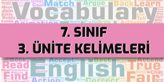 ingilizce 7 sınıf 3. ünite kelimeleri