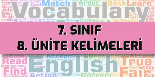 ingilizce 7 sınıf 8. ünite kelimeleri