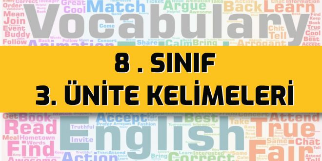 İngilizce 8 sınıf 3. ünite kelimeleri